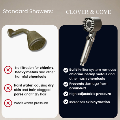 HydroVanta™ Filtered Pressure Showerhead